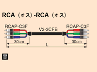 3VS10-3CFB-RCAP